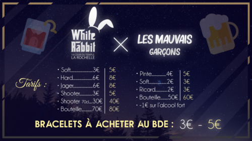 Affiche Soirée White X Mauvais Ga